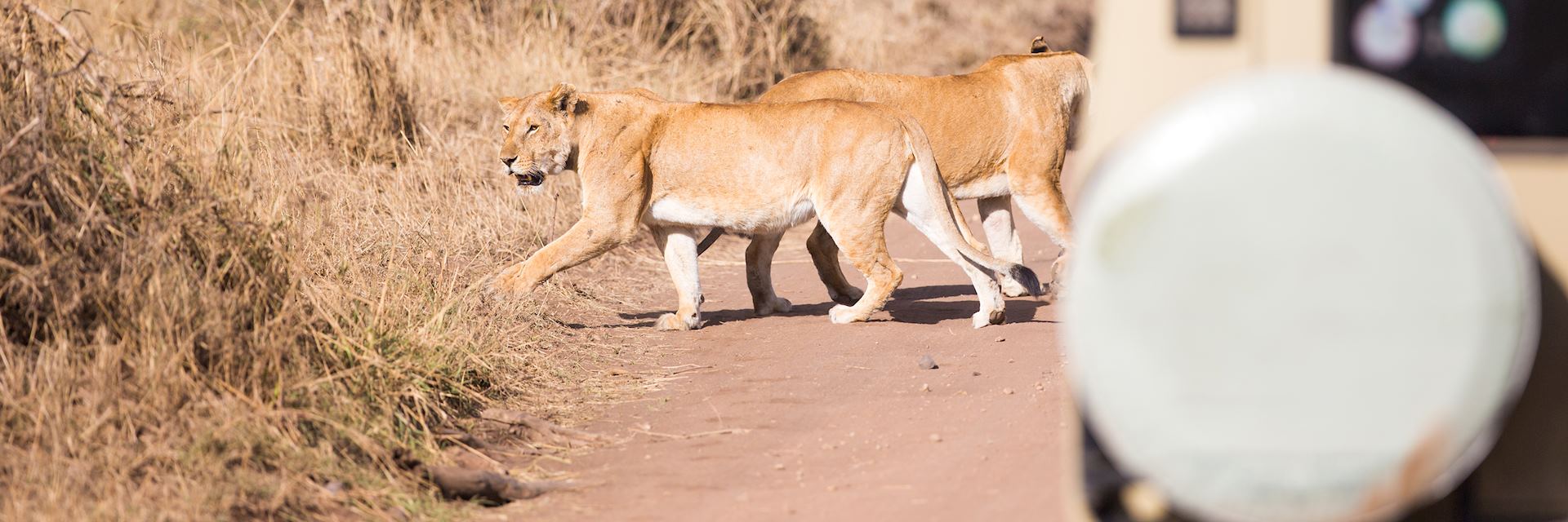 On safari in Tanzania