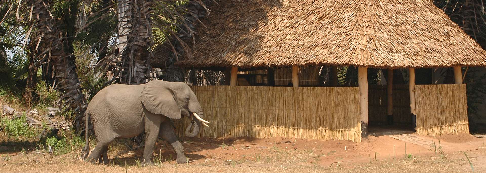 Lake Manze Camp, Nyerere National Park