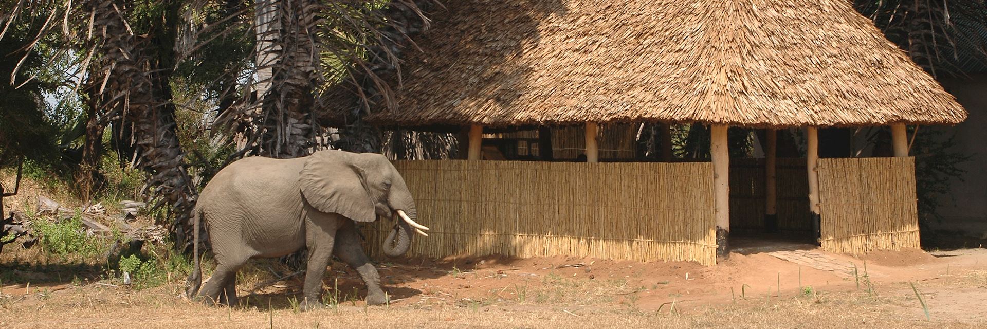 Lake Manze Camp, Selous Game Reserve, Tanzania