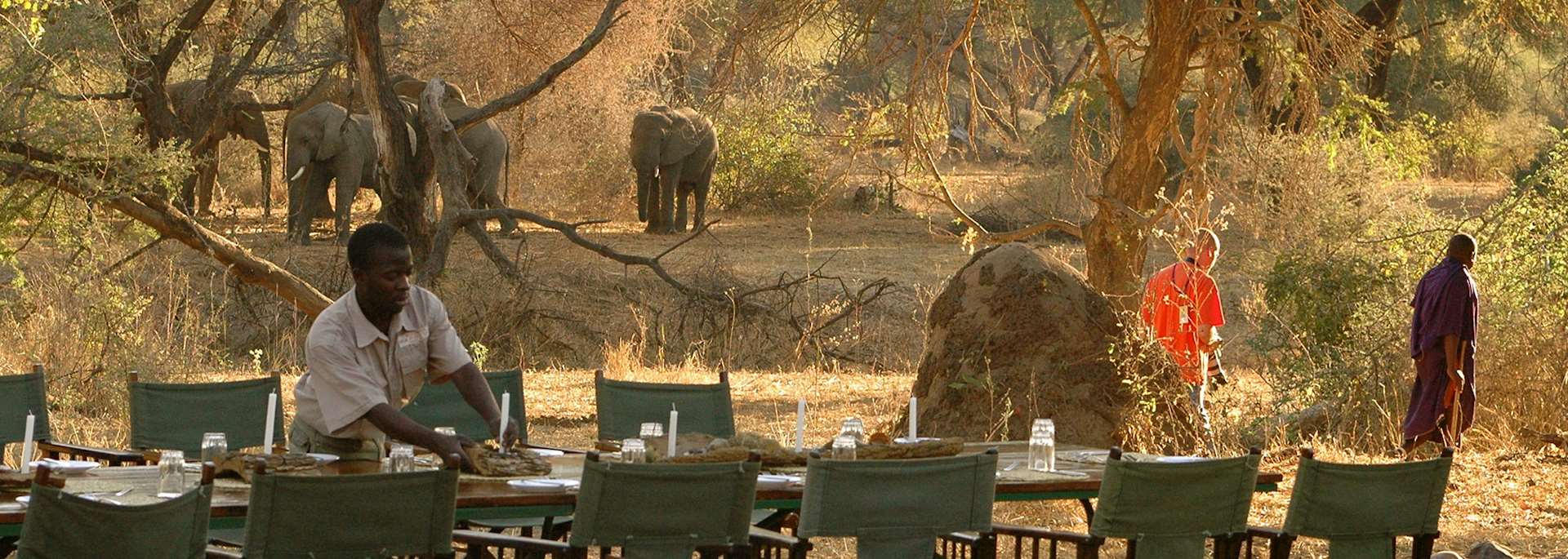 Mdonya Old River Camp, Ruaha National Park