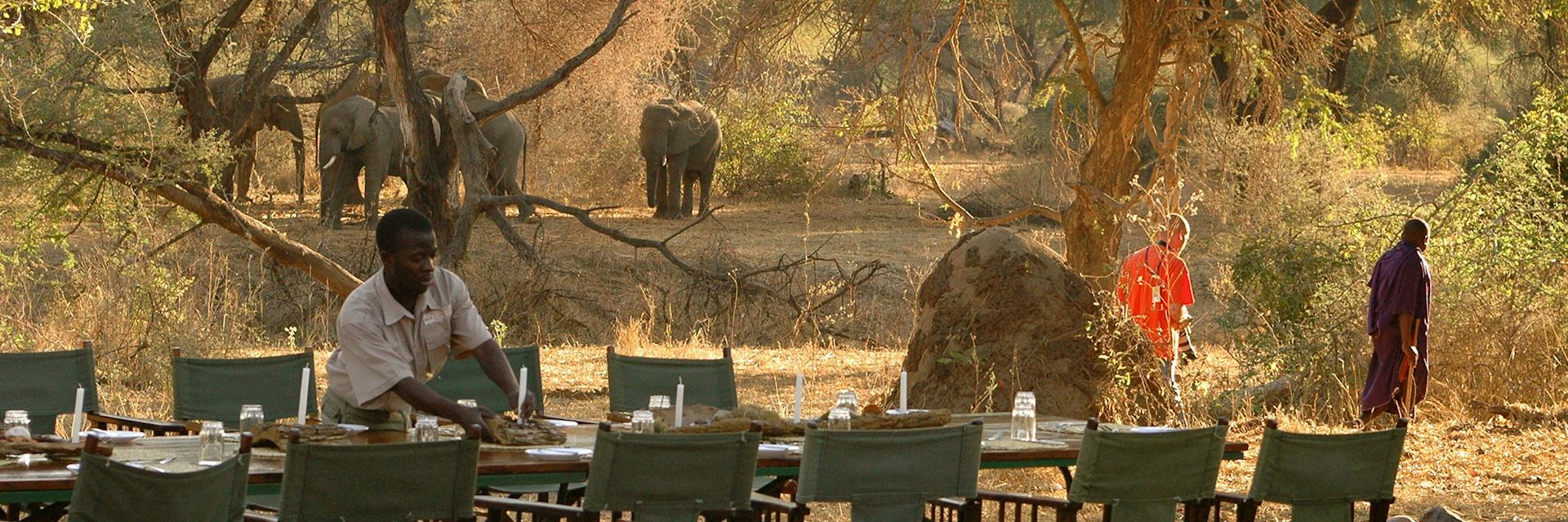 Mdonya Old River Camp, Ruaha National Park