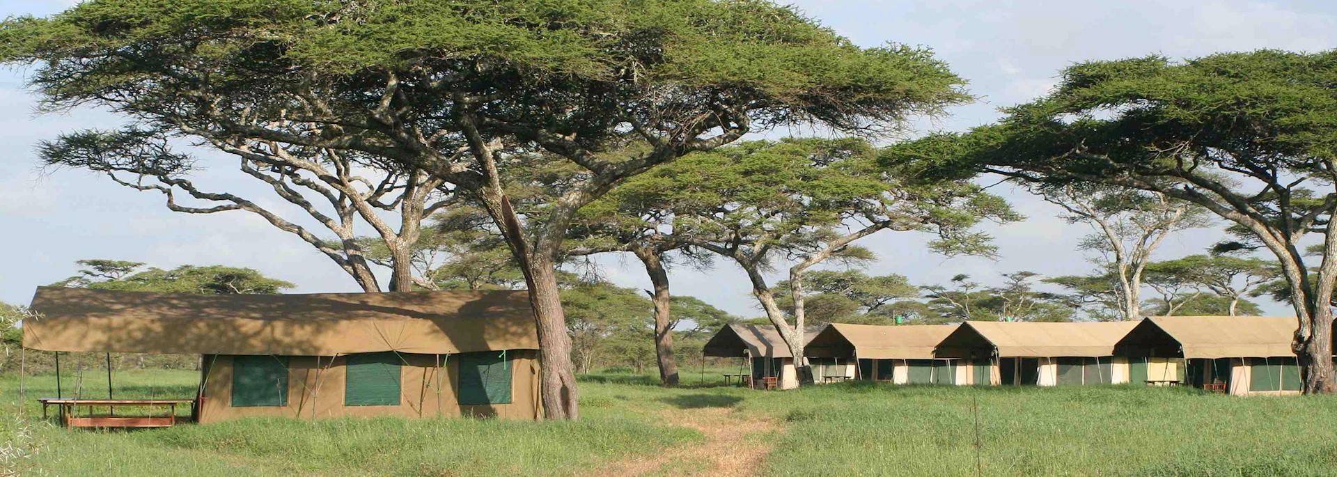 Serengeti Kati Kati Camp