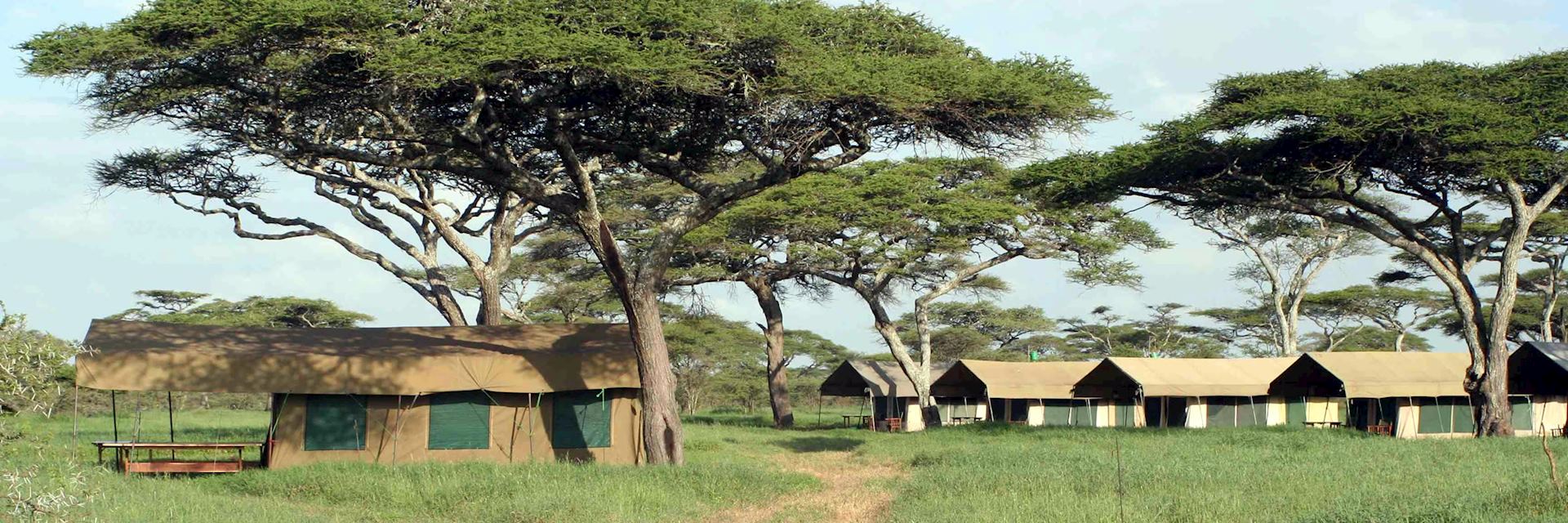 Serengeti Kati Kati Camp