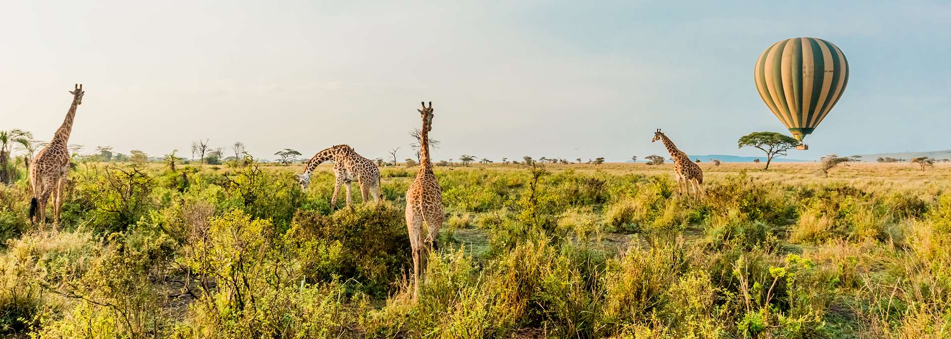 Balloon safari, Serengeti National Park