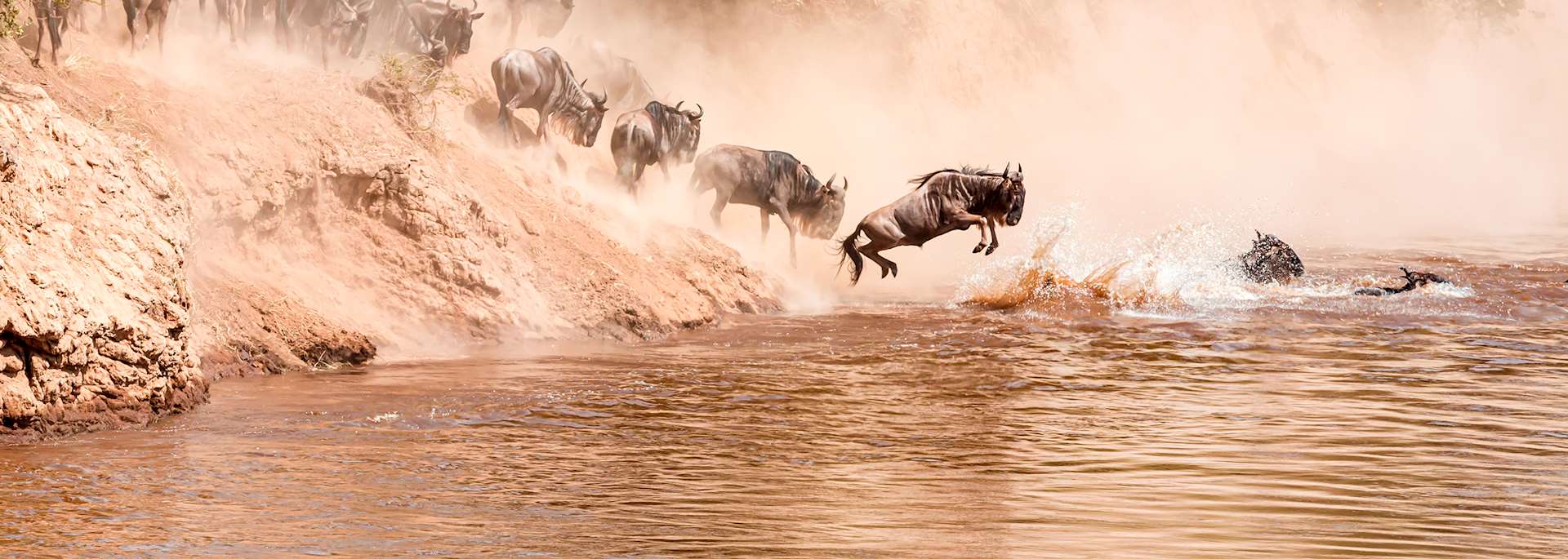 The Great Migration, Serengeti National Park