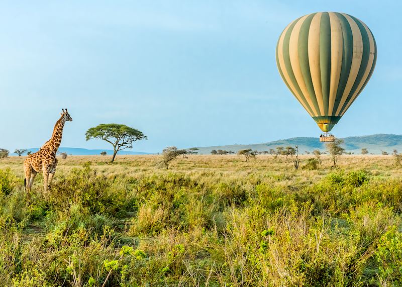 Hot-air balloon ride, Serengeti National Park 