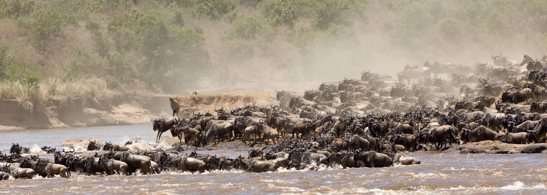 The Great Migration