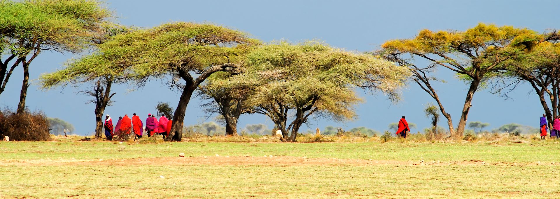 Massai in Tanzania