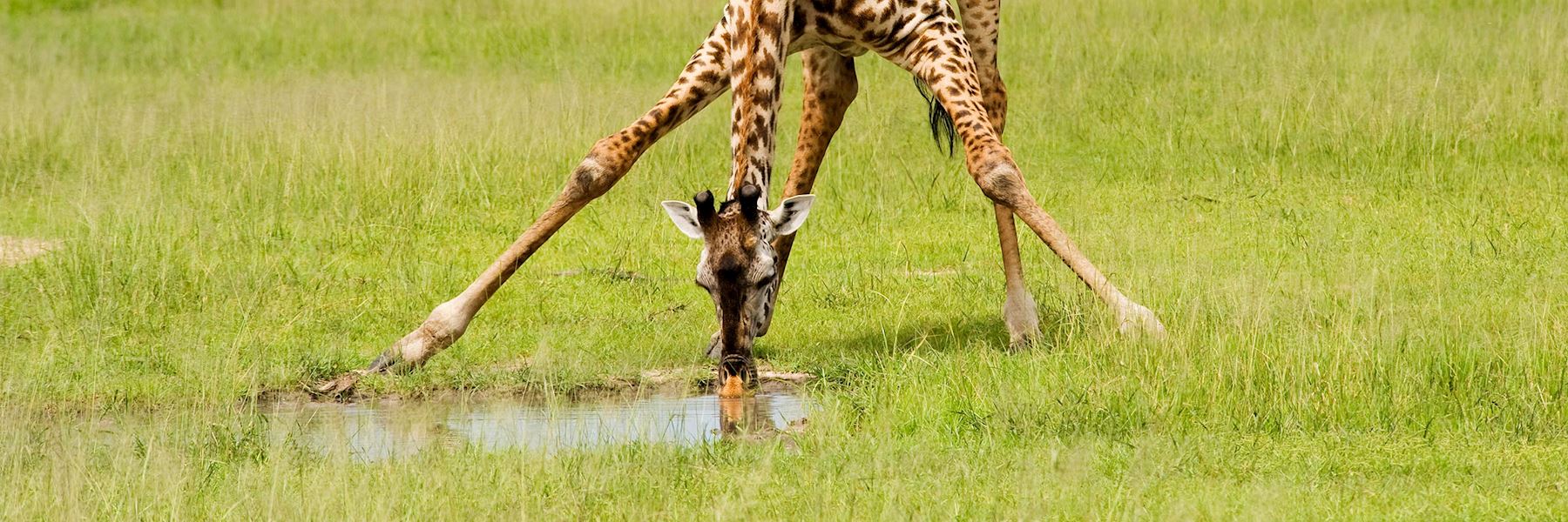 Tanzania safaris & vacations