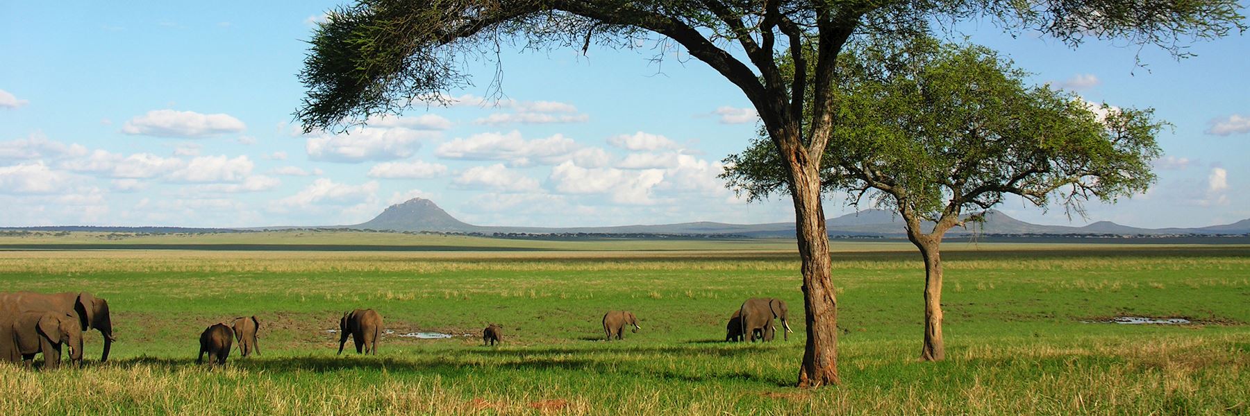 Visit Tarangire National Park, Tanzania Audley Travel