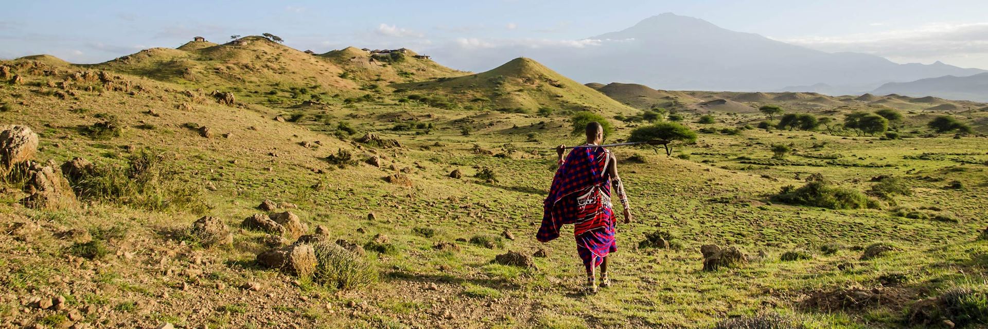 Maasai warrior in the West Kilimanjaro foothills