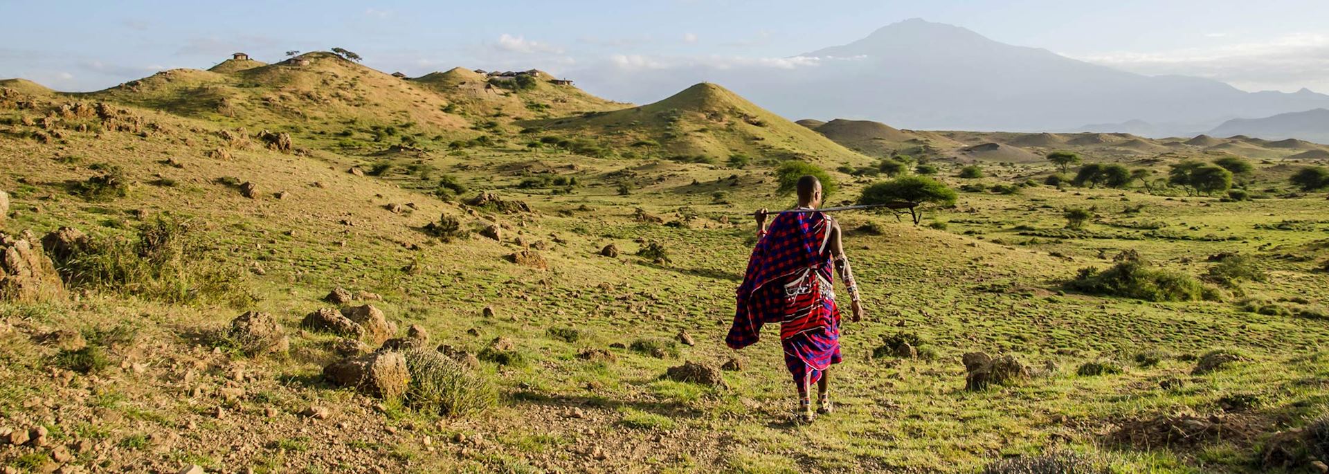Maasai warrior in the West Kilimanjaro foothills