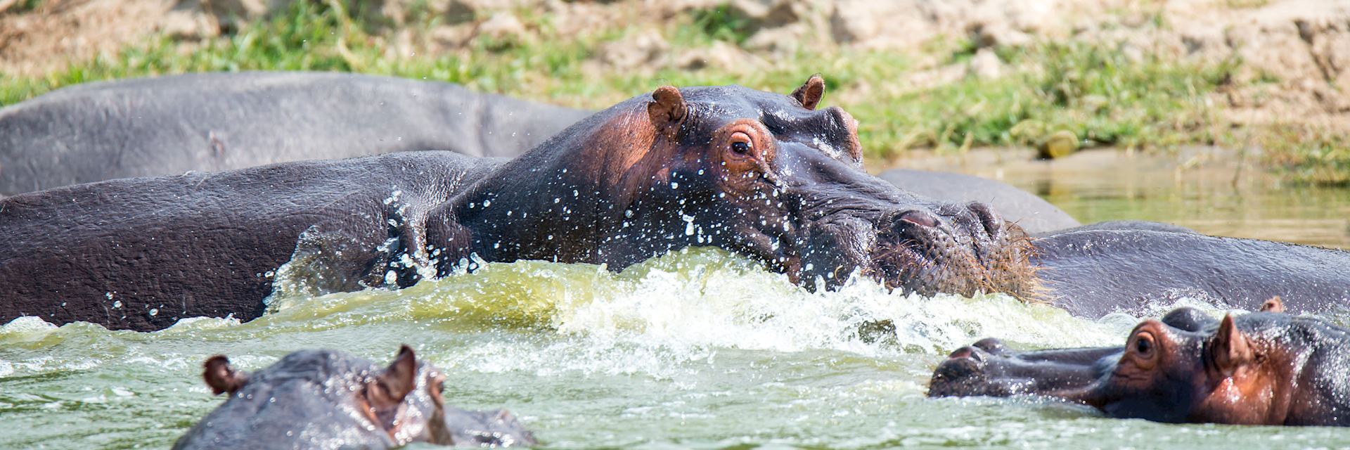 Queen Elizabeth National Park