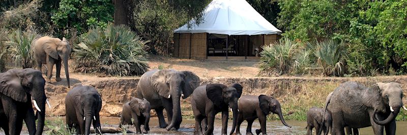 Sausage Tree Camp in the Lower Zambezi National Park