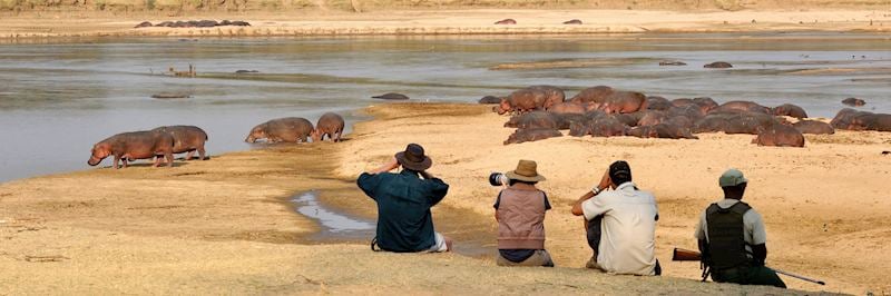 Walking safari in South Luangwa National Park