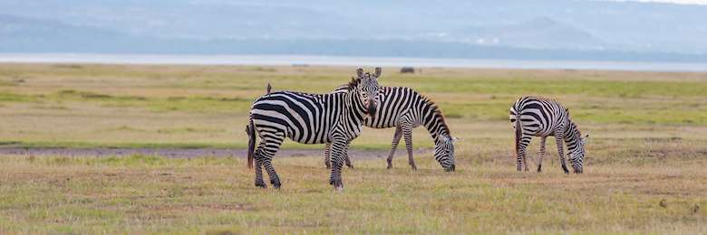 Tailor-Made Zambia Tours 2025 & 2026 | Audley Travel UK