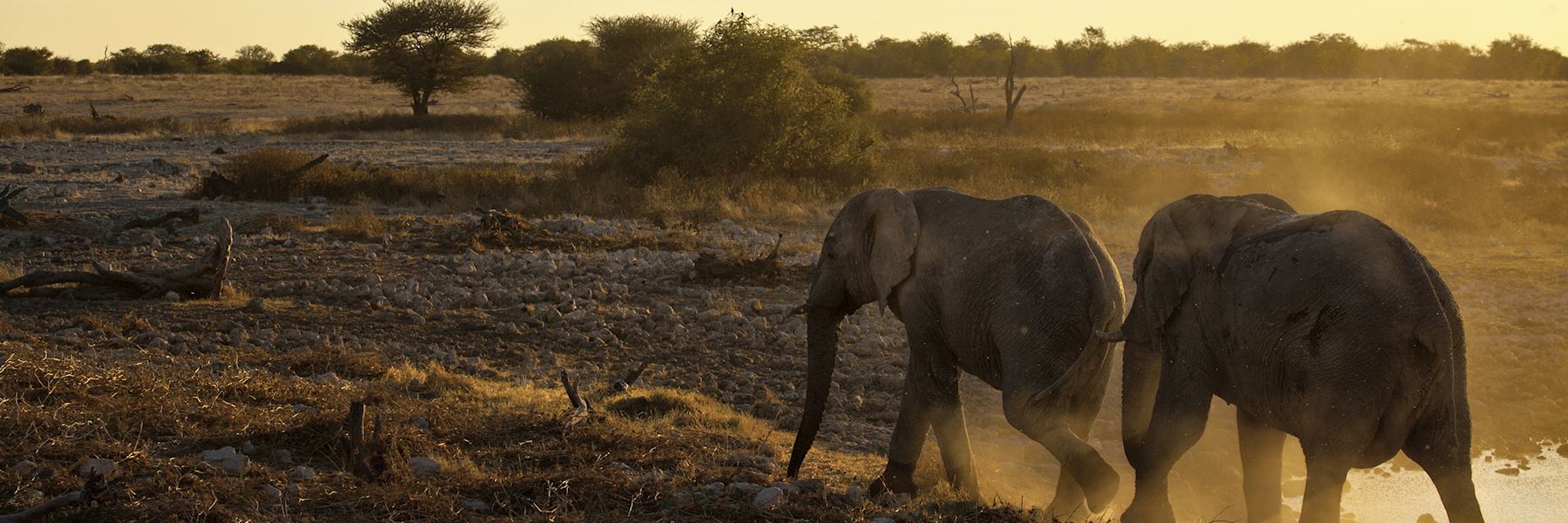 Zambia safaris & holidays