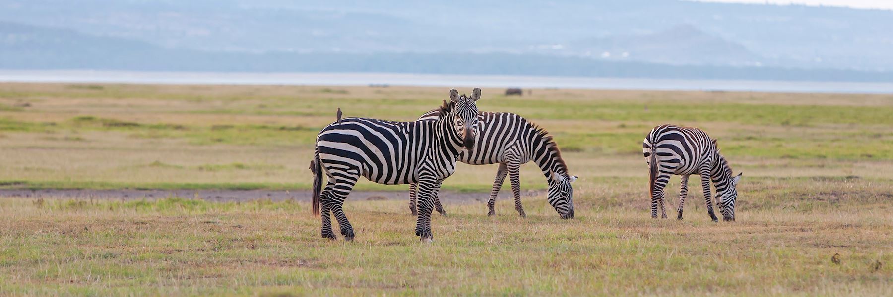 Zambia Holidays 2019 & 2020 | Tailor-Made Zambia Tours | Audley Travel