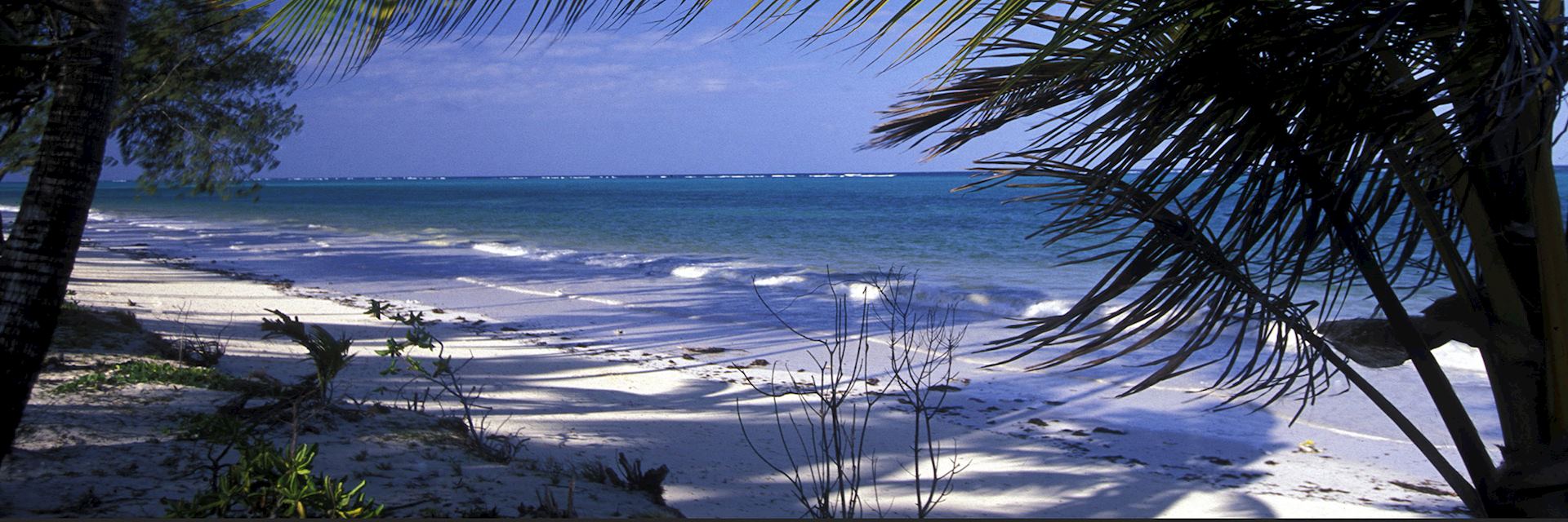 Bwejuu Island, Mafia Archipelago, Zanzibar