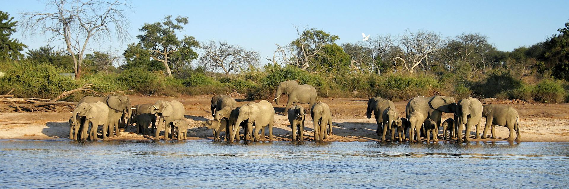 Mana Pools National Park