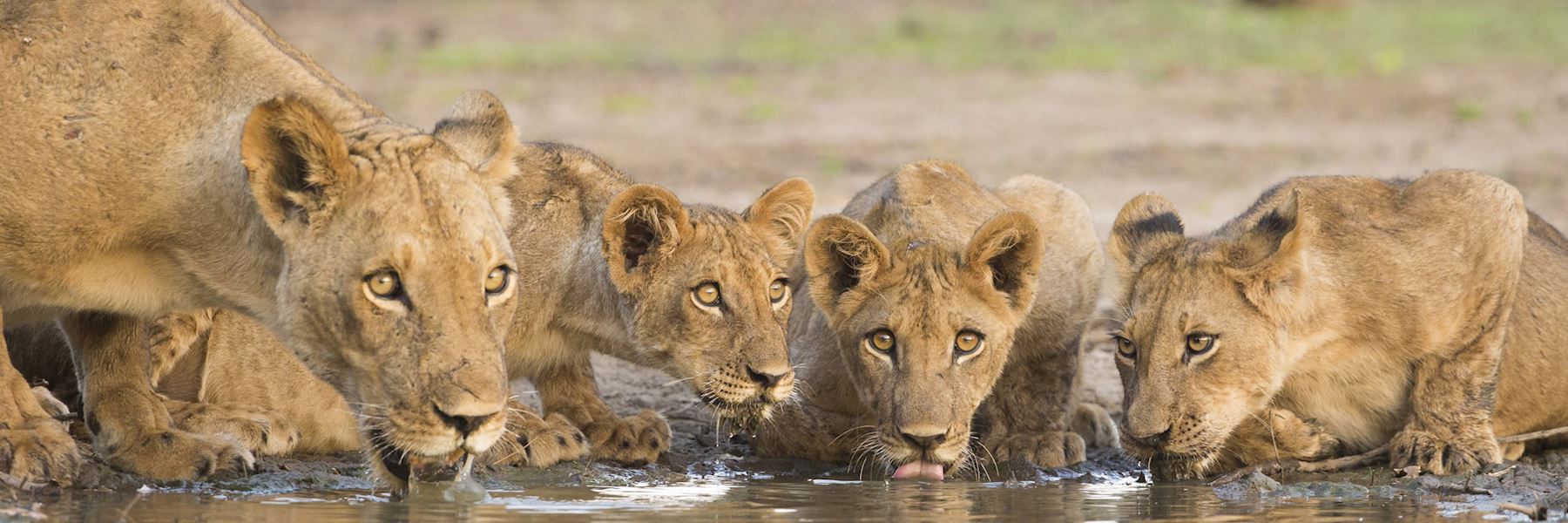 Zimbabwe Holidays | Tailor-Made Safaris in Zimbabwe | Audley Travel