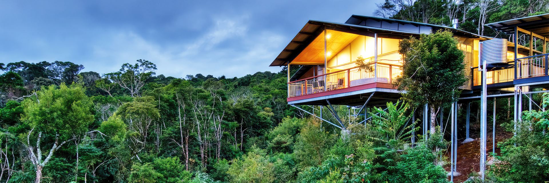 O'Reilly's Rainforest Guesthouse