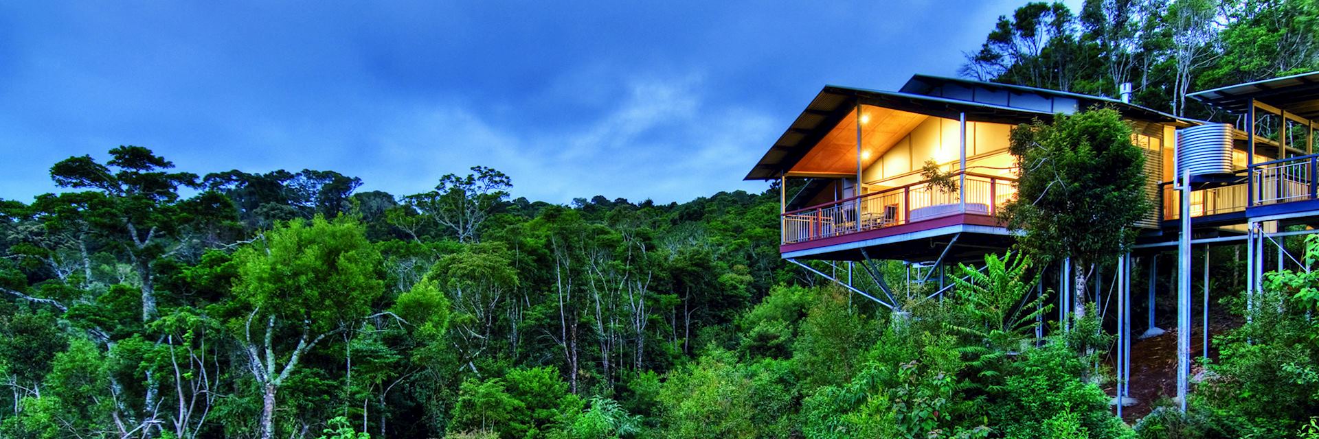 O'Reilly's Rainforest Guesthouse