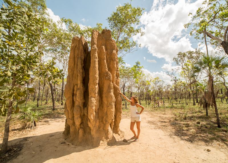 Termite mound in Litchfield National Park, Northern Territory