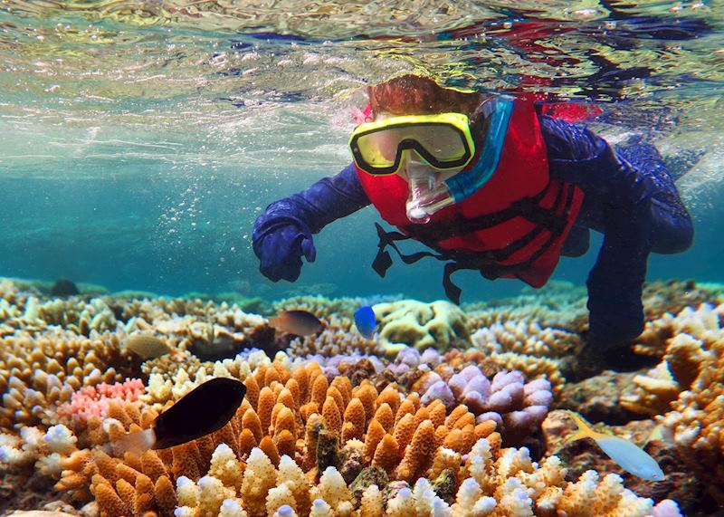 Snorkelling on the Great Barrier Reef