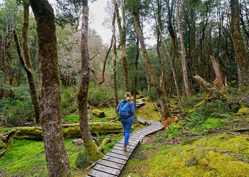 Cradle Mountain-Lake St Clair National Park