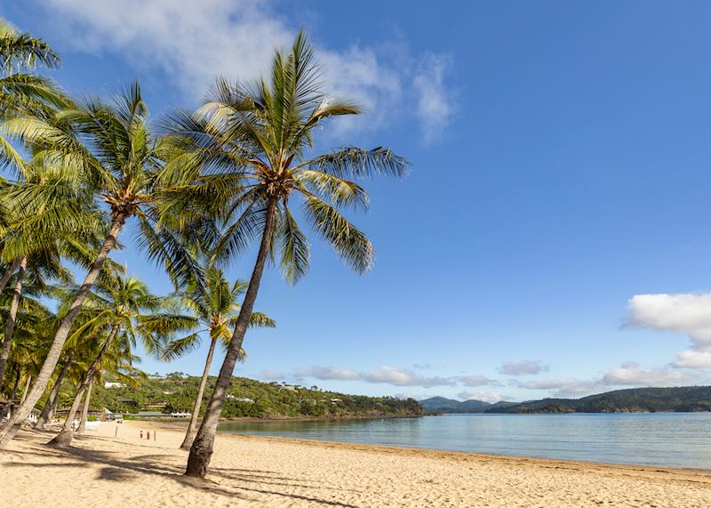 Catseye Beach, Hamilton Island