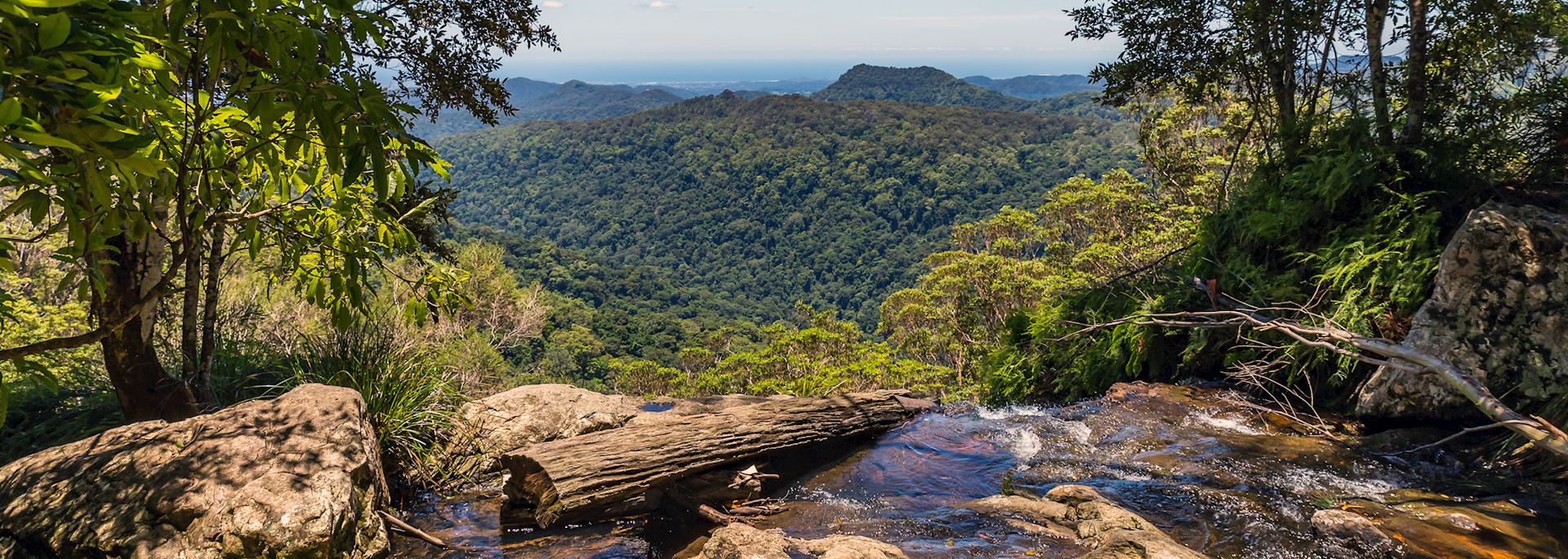 Binna Burra section of Lamington National Park