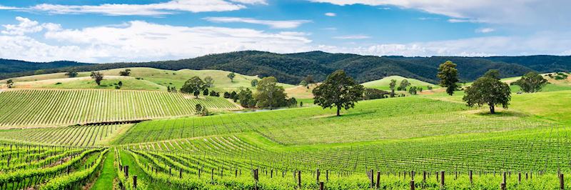 Barossa Valley