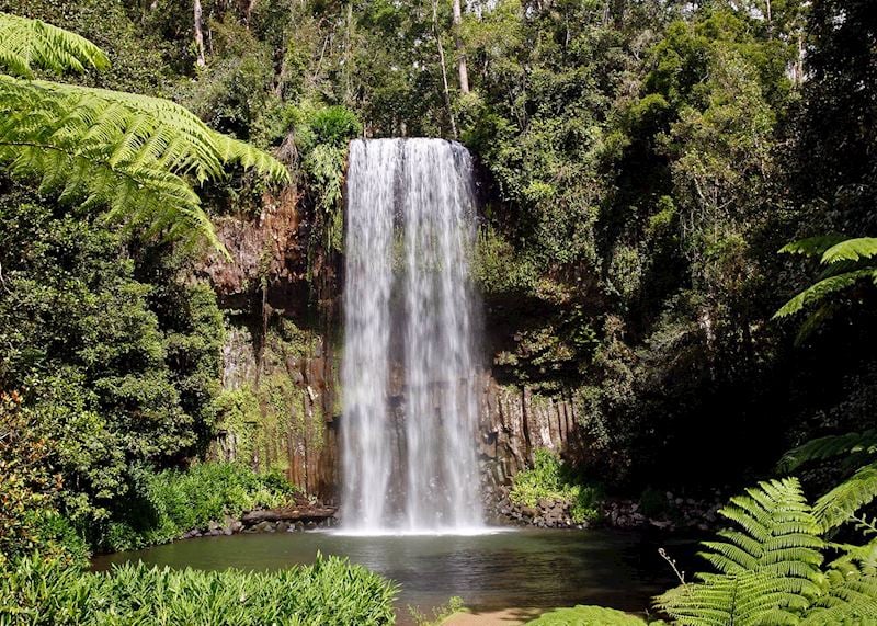 Millaa Millaa Falls, Atherton Tablelands