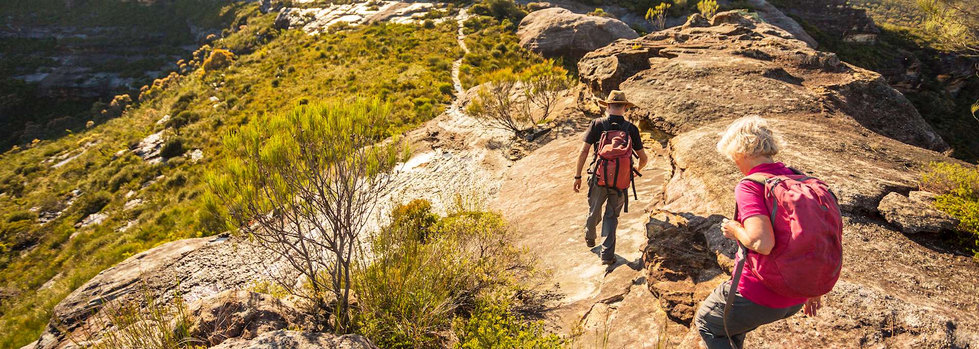Hiking in the Blue Mountains