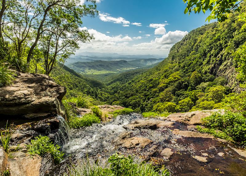 Lamington National Park, the Gold Coast
