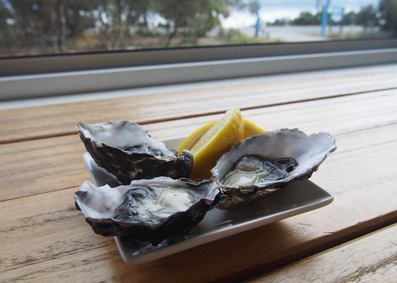 Oysters, Bruny Island