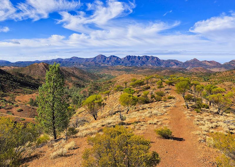 Wilpena Pound