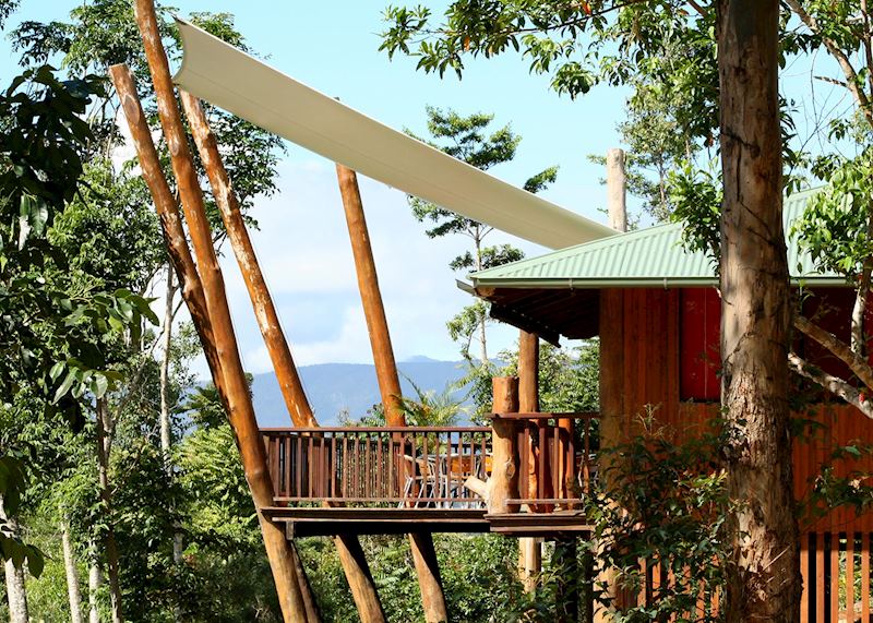 Rose Gums Wilderness Retreat
