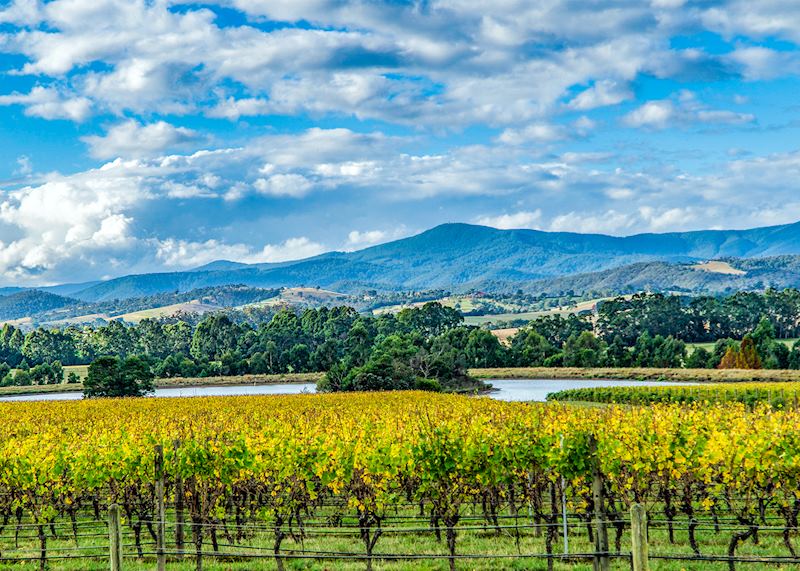 Yarra Valley, Melbourne