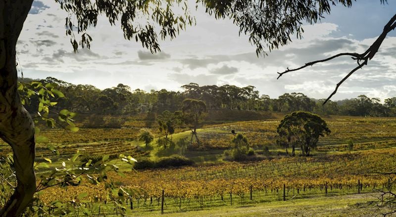 Clare Valley, South Australia