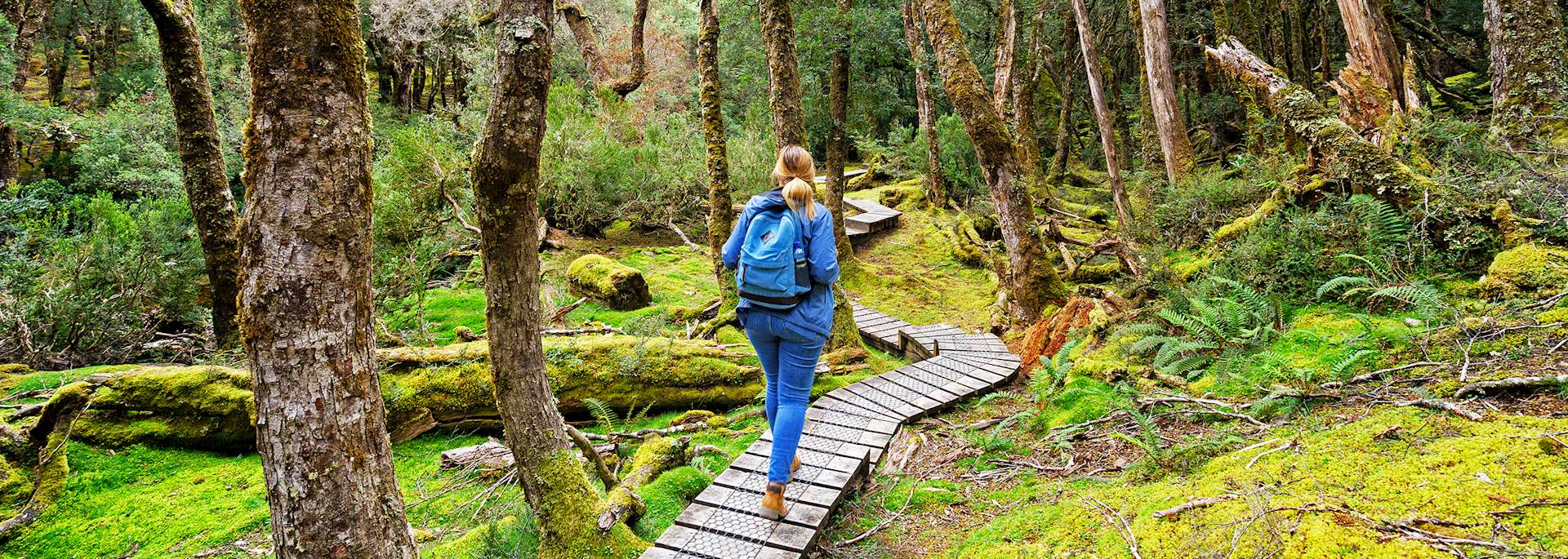 Hiking in Cradle Mountain – Lake St Clair National Park