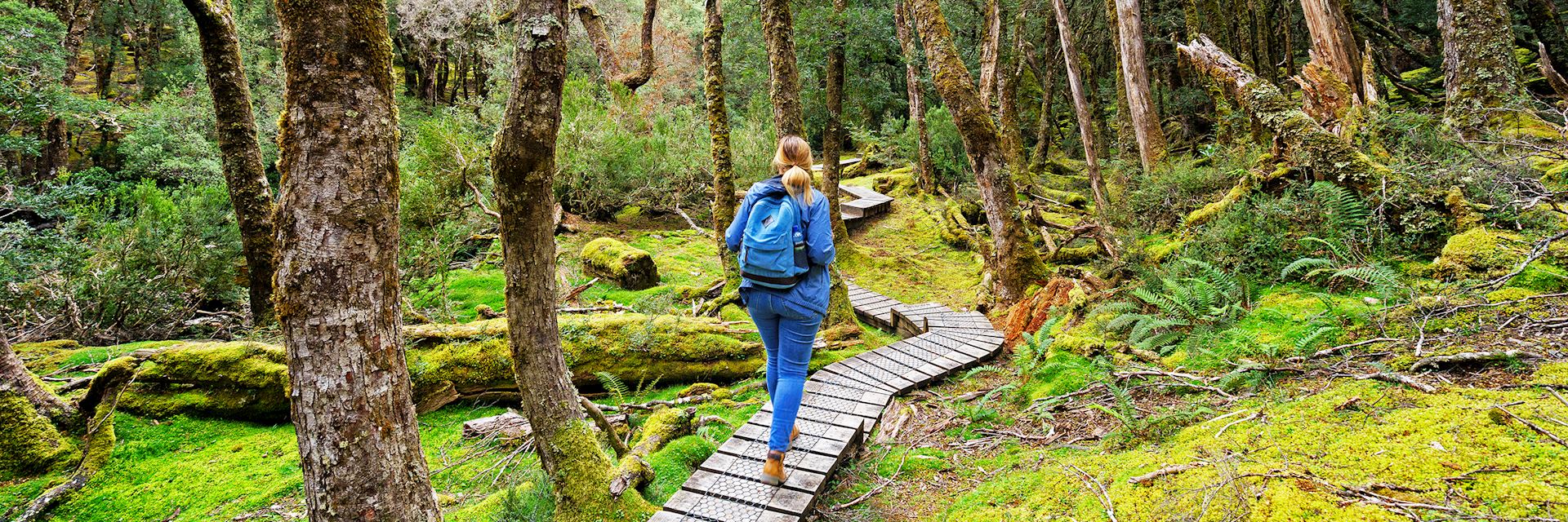 Hiking in Cradle Mountain – Lake St Clair National Park
