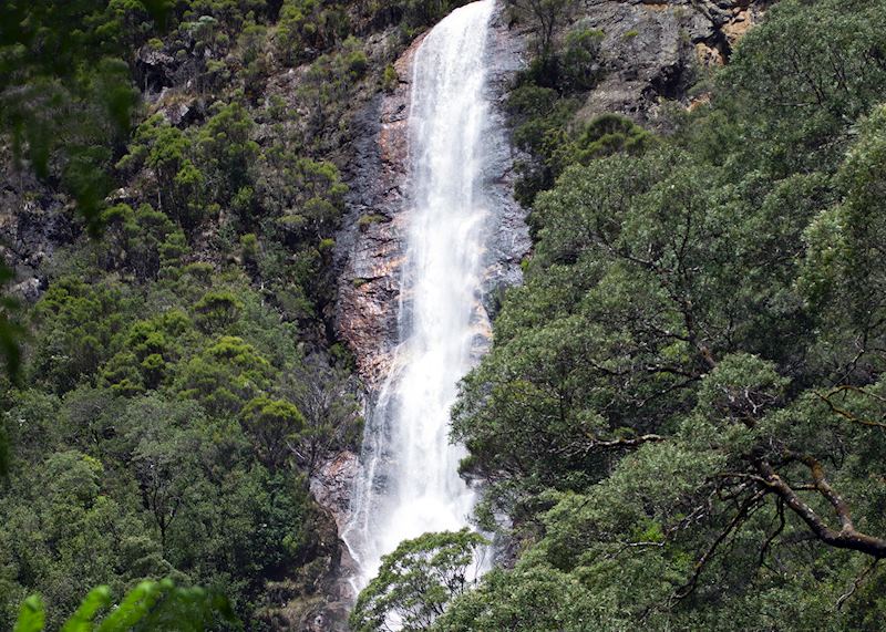 Montezuma Falls, Tasmania's western coast