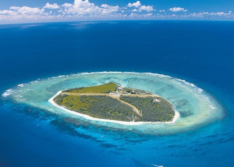 Lady Elliot Island
