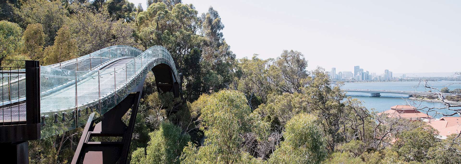 Kings Park in Perth