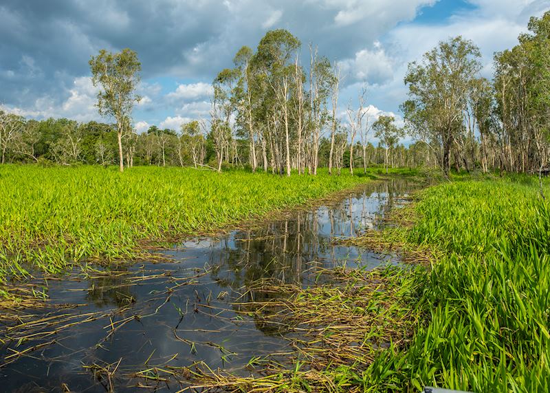 Scenery around Finniss River Lodge