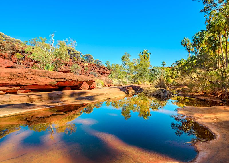 Palm Valley, Finke Gorge National Park