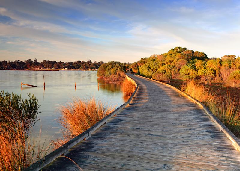 Boardwalk in Gippsland Lakes