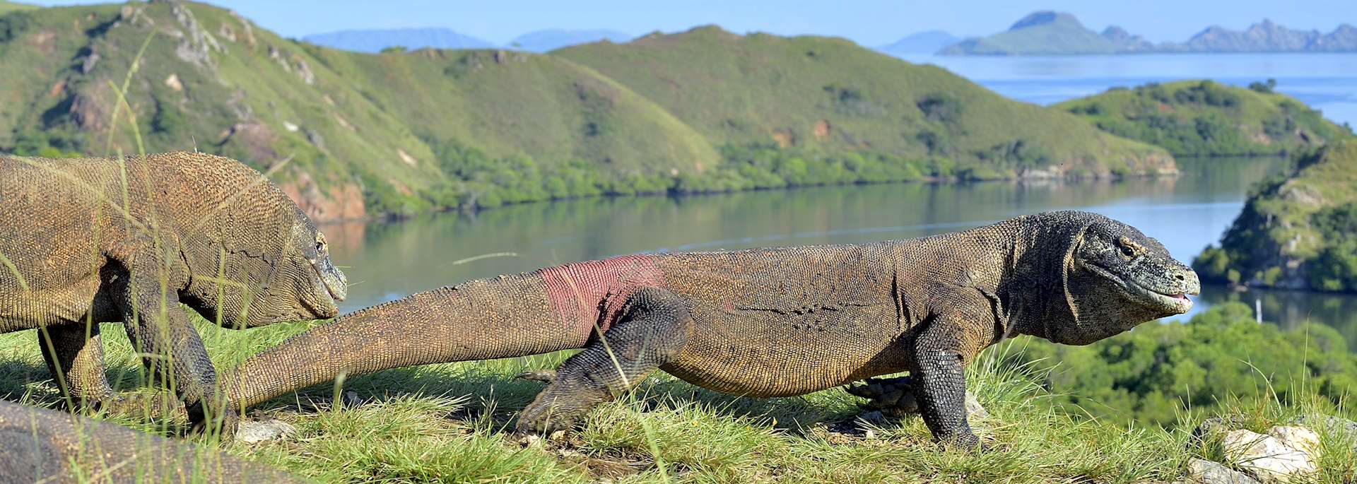 Komodo Island